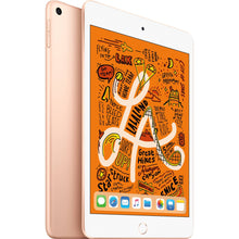 Load image into Gallery viewer, Apple 7.9&quot; iPad mini (Early 2019, 64GB, Wi-Fi Only, Space Gray)